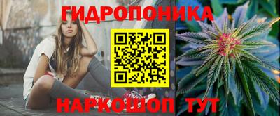 мяу мяу мука Берёзовский