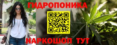 apvp Беслан